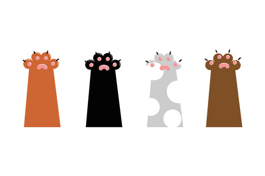 Illustration pattes chats
