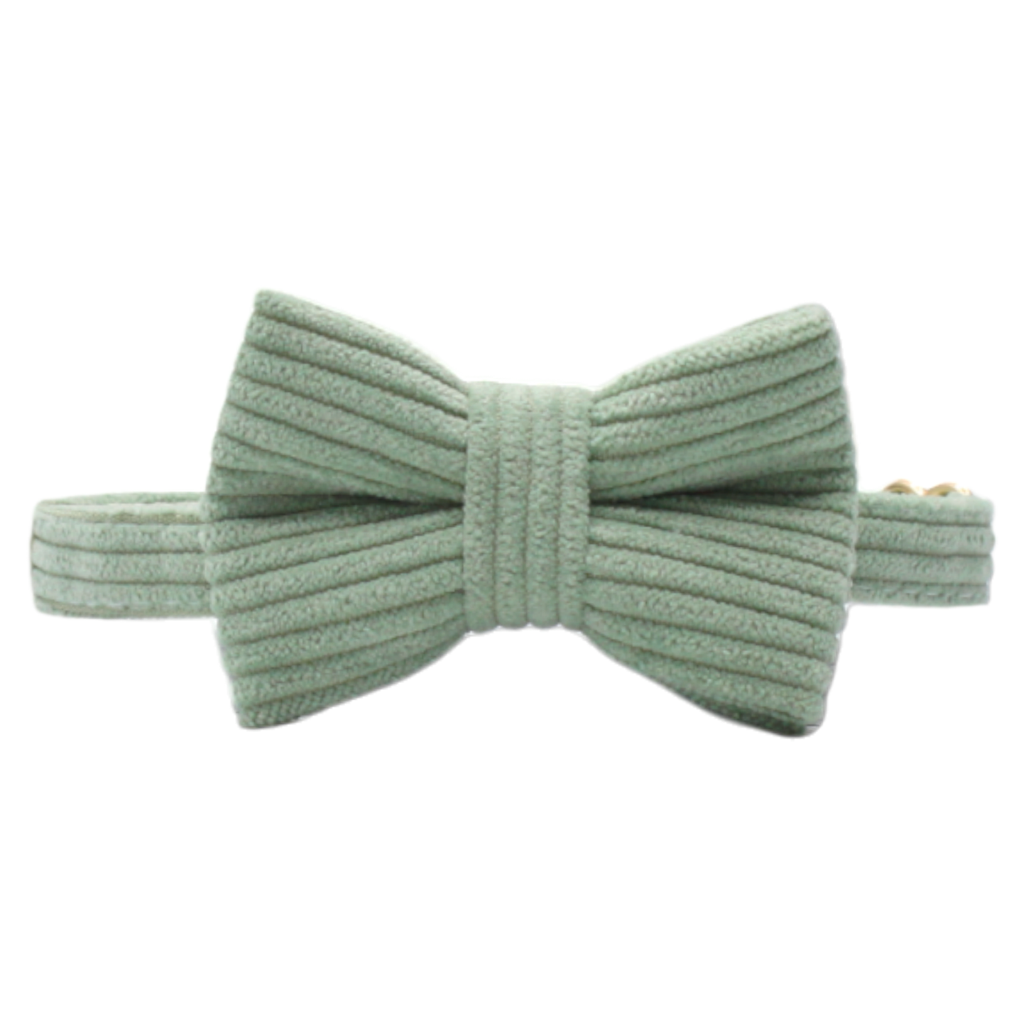 collier chat velours côtelé nœud papillon amovible boucle anti-étranglement vert clair twiggy