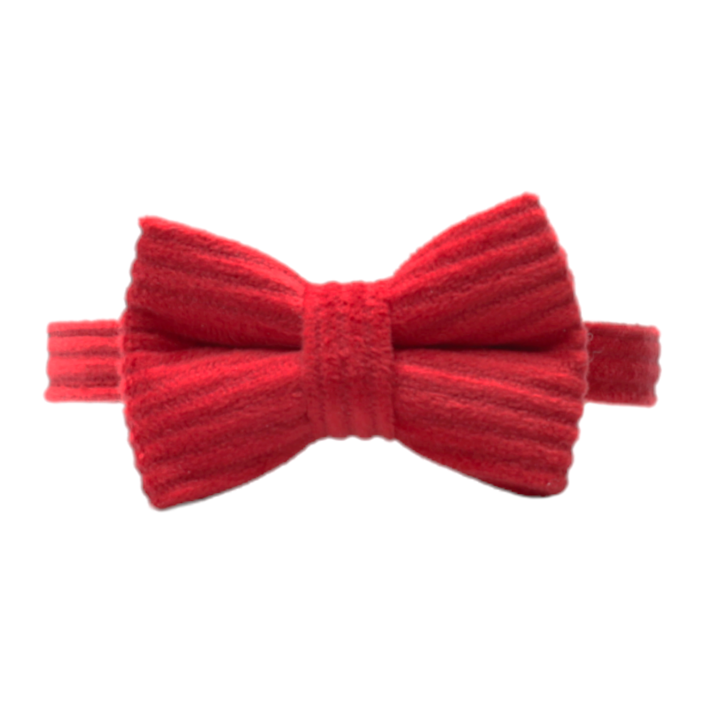 collier chat velours côtelé nœud papillon amovible boucle anti-étranglement rouge twiggy