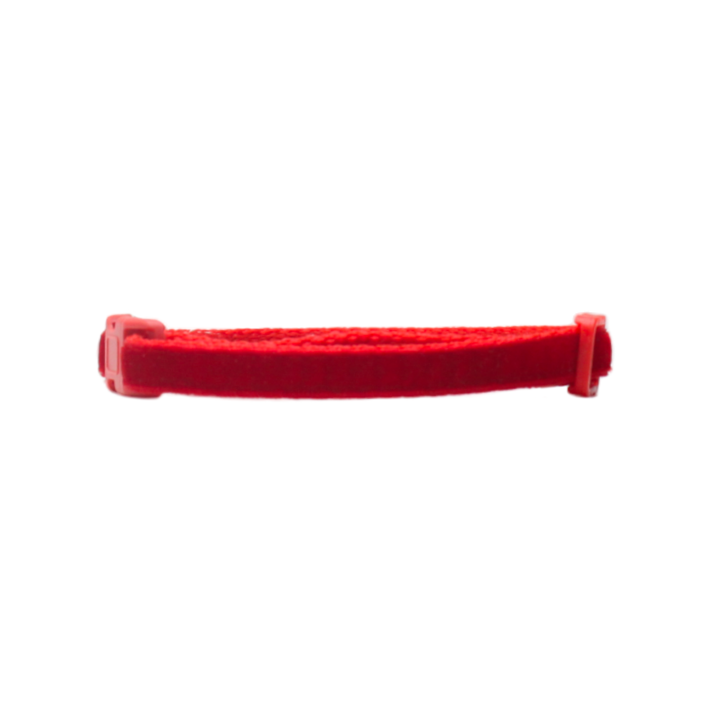 collier chat velours boucle classique rouge twiggy