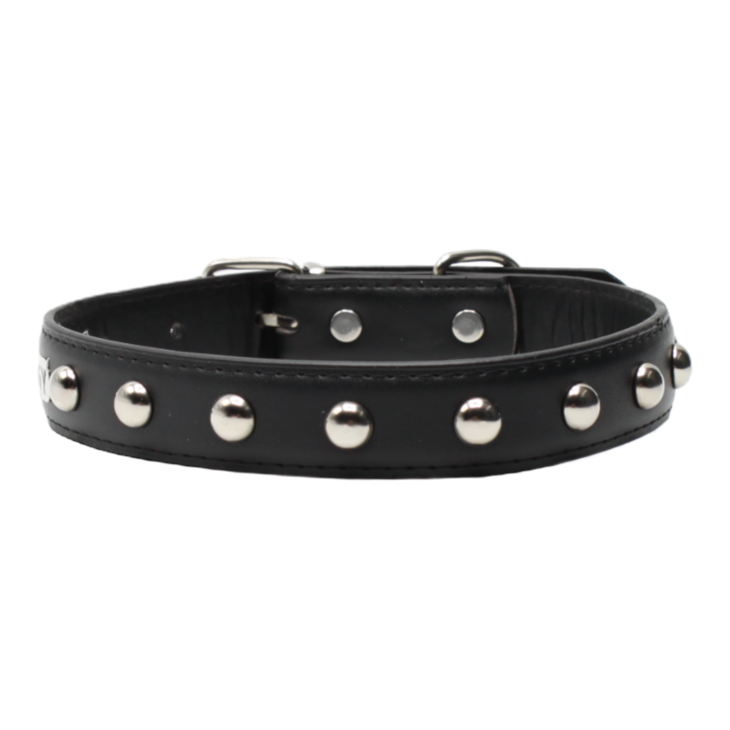 collier chien cuir clouté métal boucle réglable noir twiggy