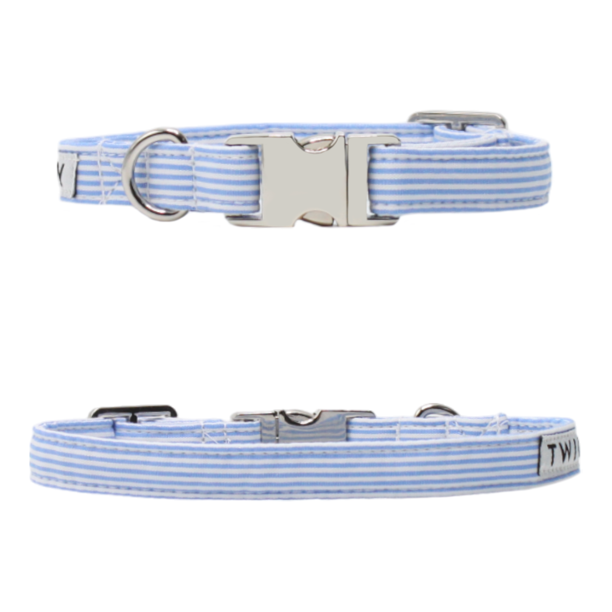 collier chien rayé bleu blanc boucle argentée twiggy