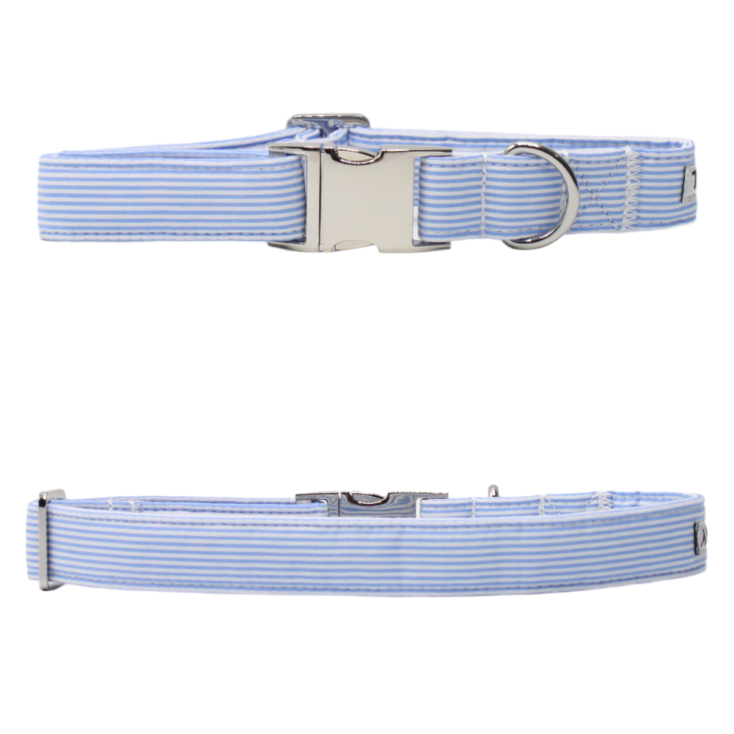 collier chien rayé bleu blanc boucle argentée twiggy