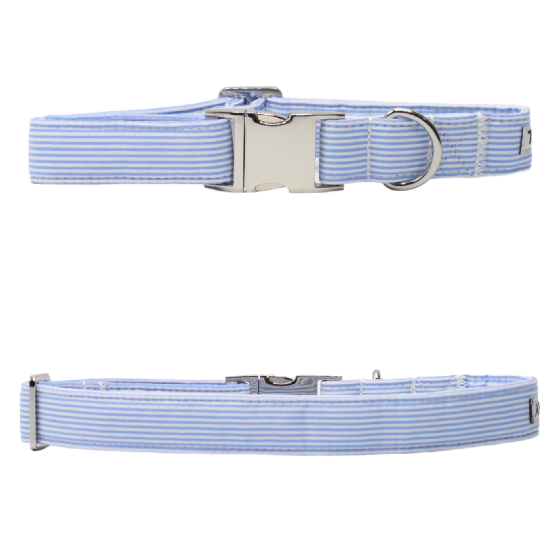 collier chien rayé bleu blanc boucle argentée twiggy