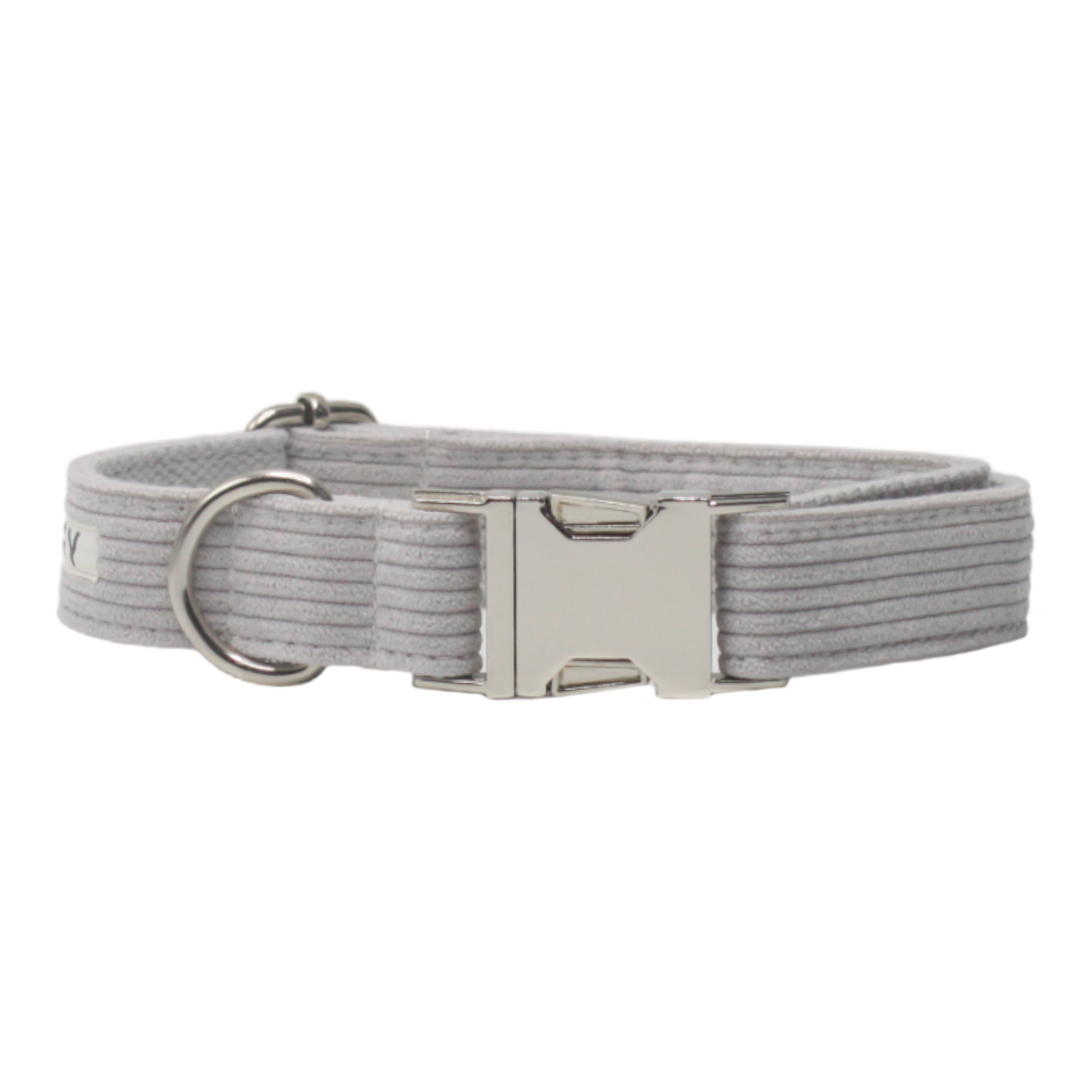 collier chien velours côtelé boucle métal argenté gris clair twiggy