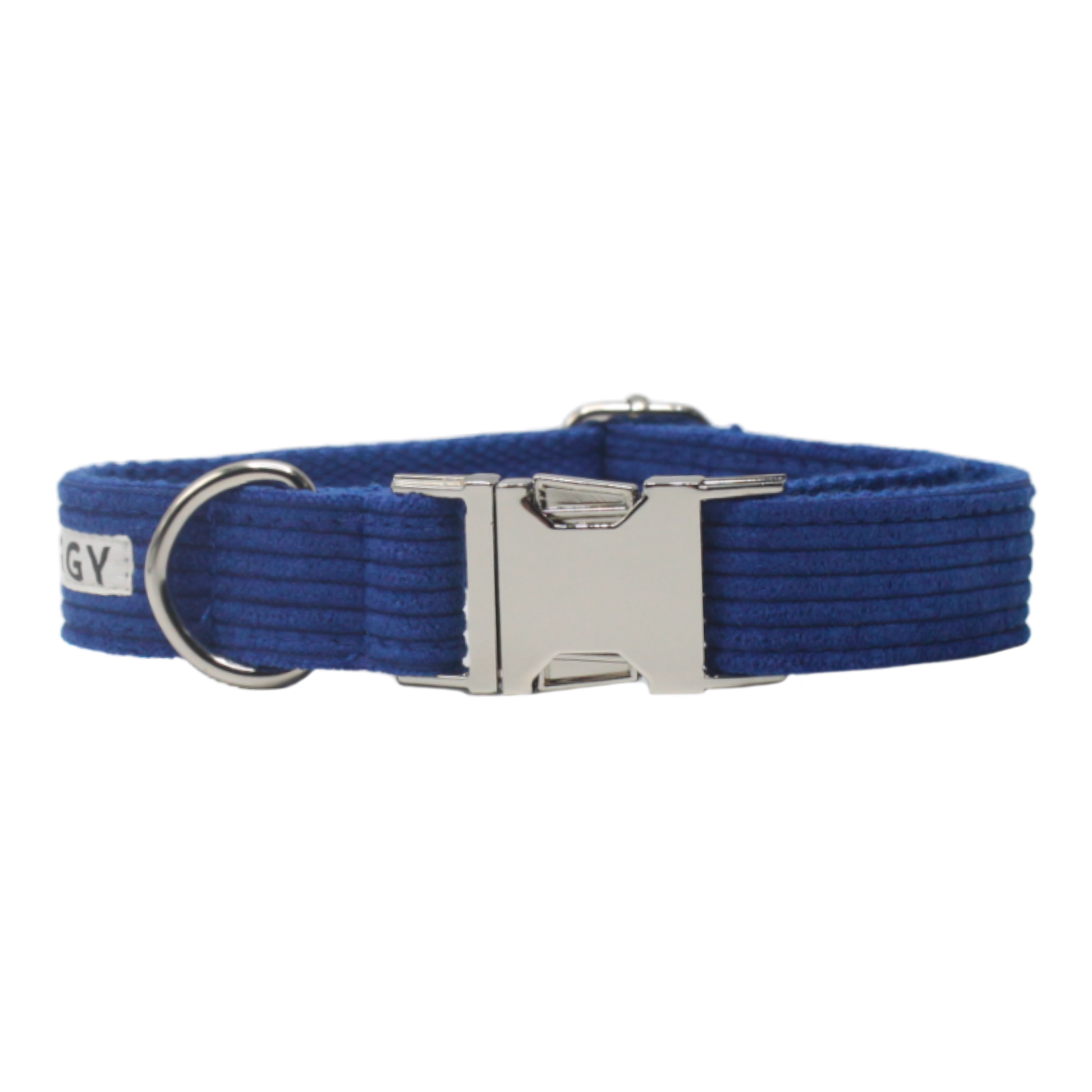 collier chien velours côtelé boucle métal argenté bleu twiggy