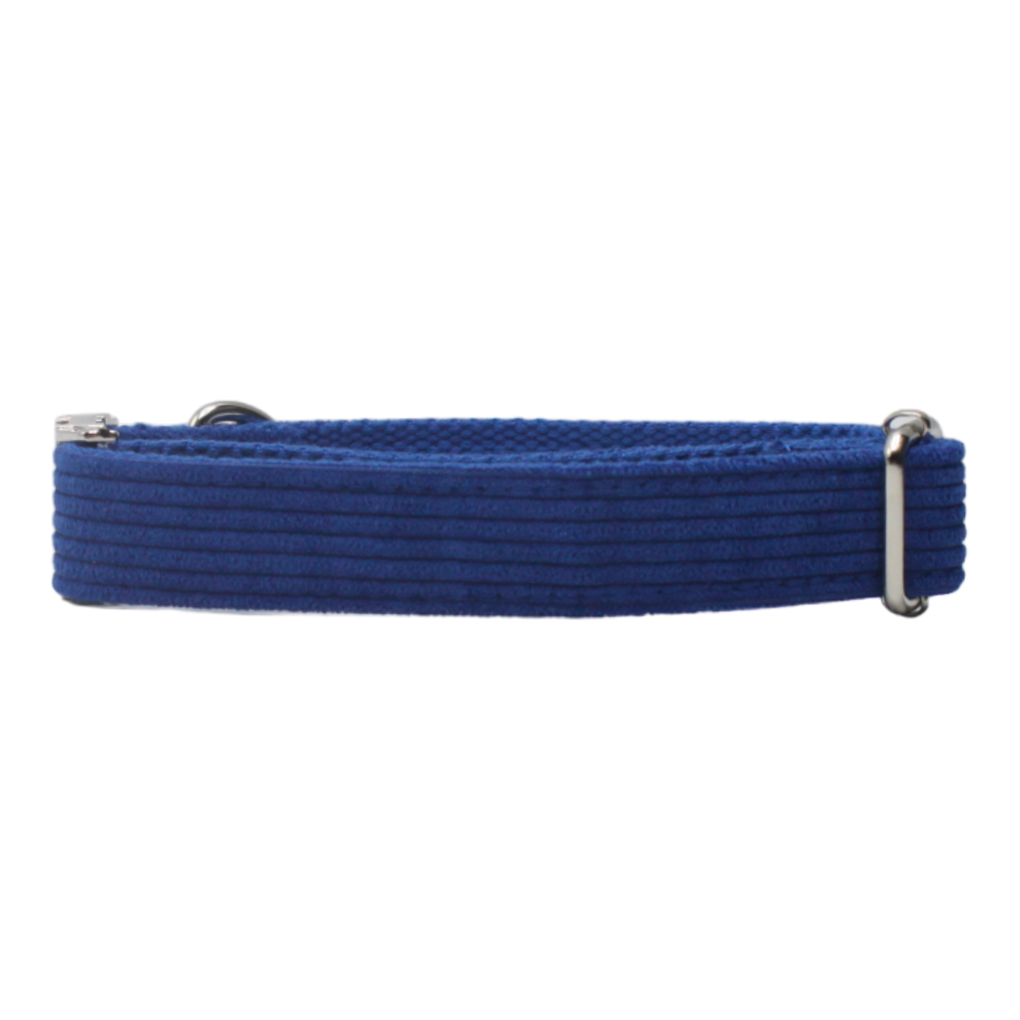 collier chien velours côtelé boucle métal argenté bleu twiggy