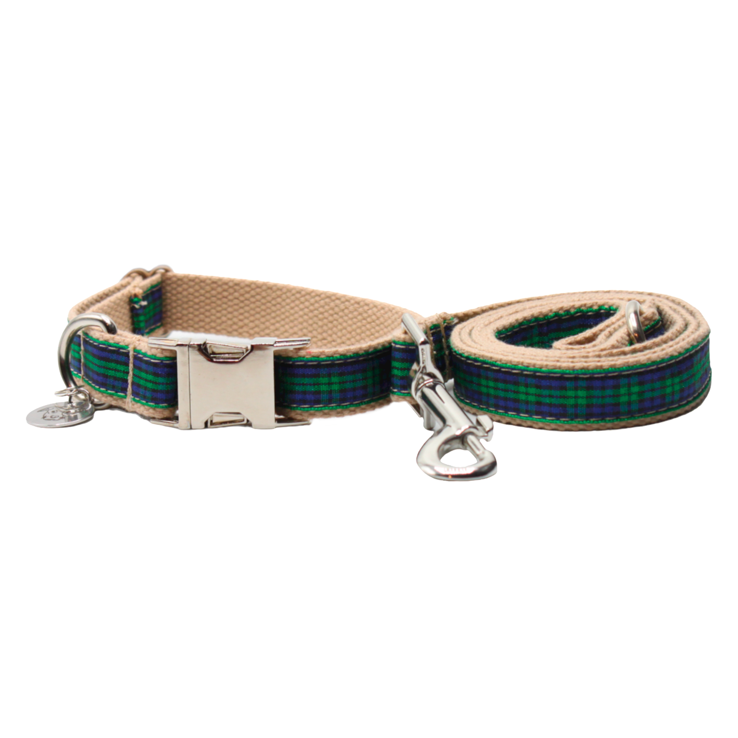 collier laisse chien boucle métal argenté écossais tartan vert twiggy