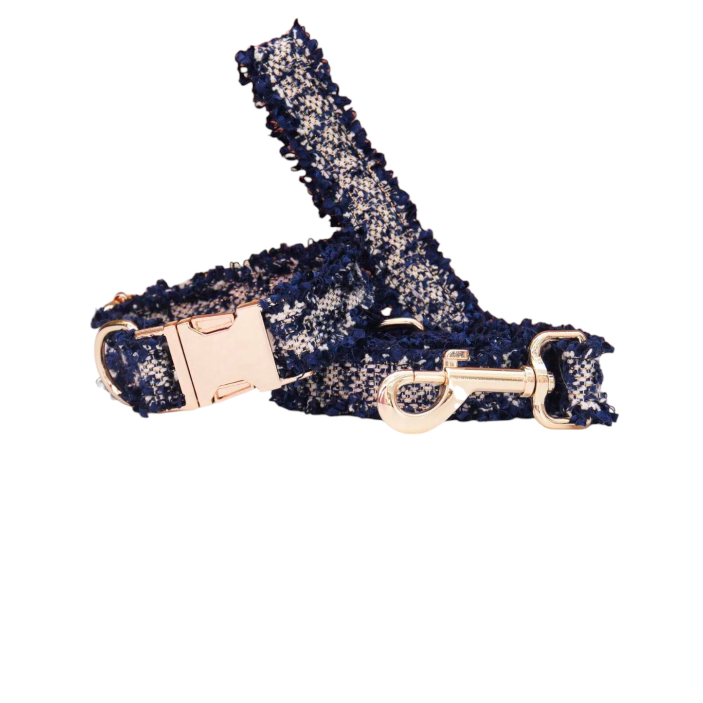 Collier laisse chien tweed dentelé bleu