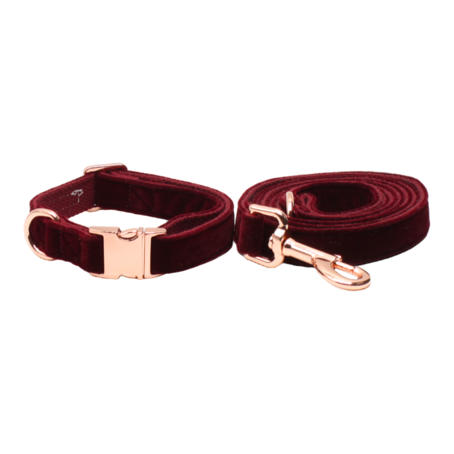 collier laisse chien velours boucle métal or rose bordeaux twiggy