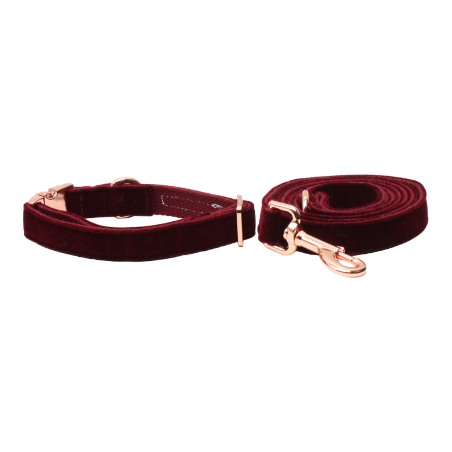 collier laisse chien velours boucle métal or rose bordeaux twiggy
