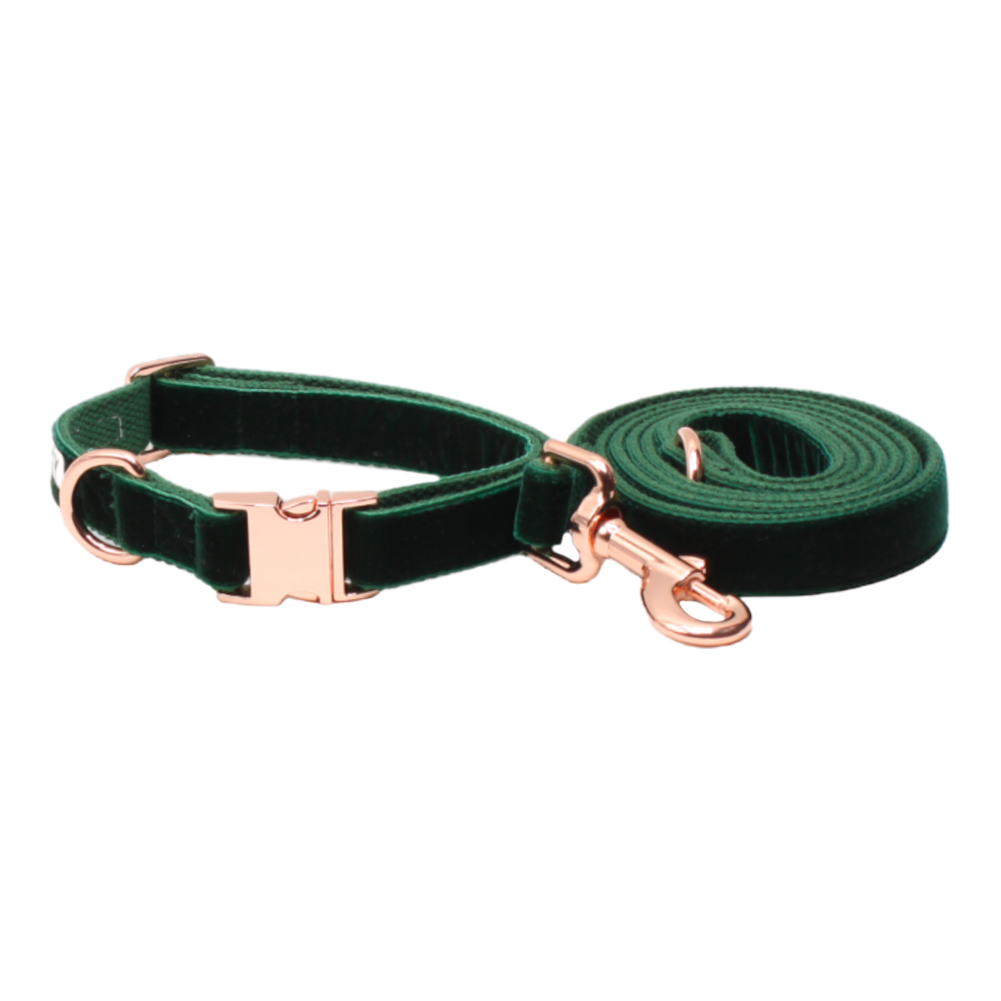 collier laisse chien velours boucle métal or rose vert foncé twiggy