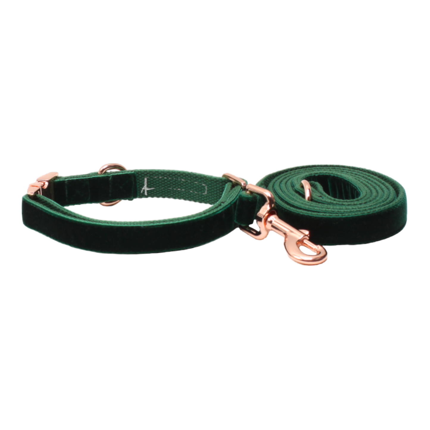 collier laisse chien velours boucle métal or rose vert foncé twiggy