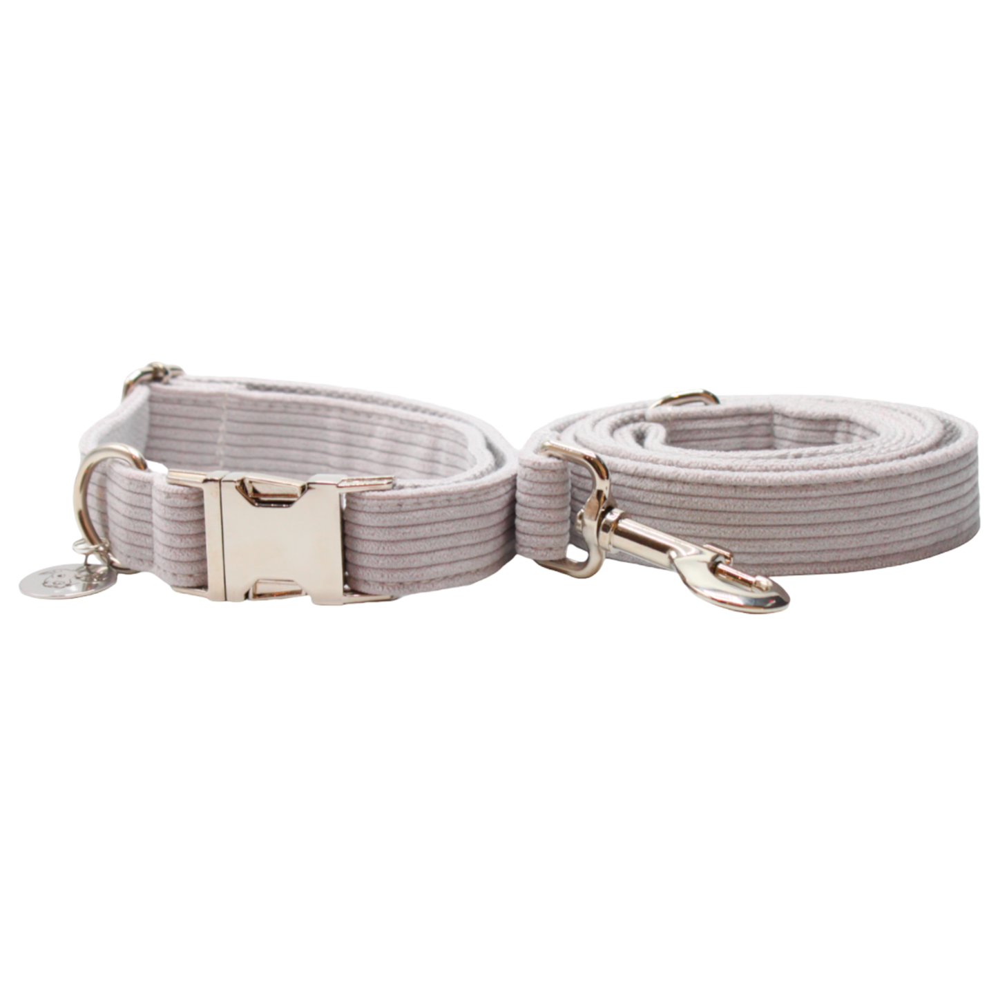 collier laisse chien velours côtelé boucle métal argenté gris twiggy