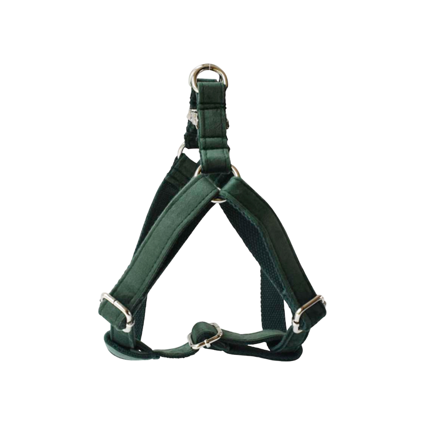 harnais chien velours vert boucle métal argenté twiggy