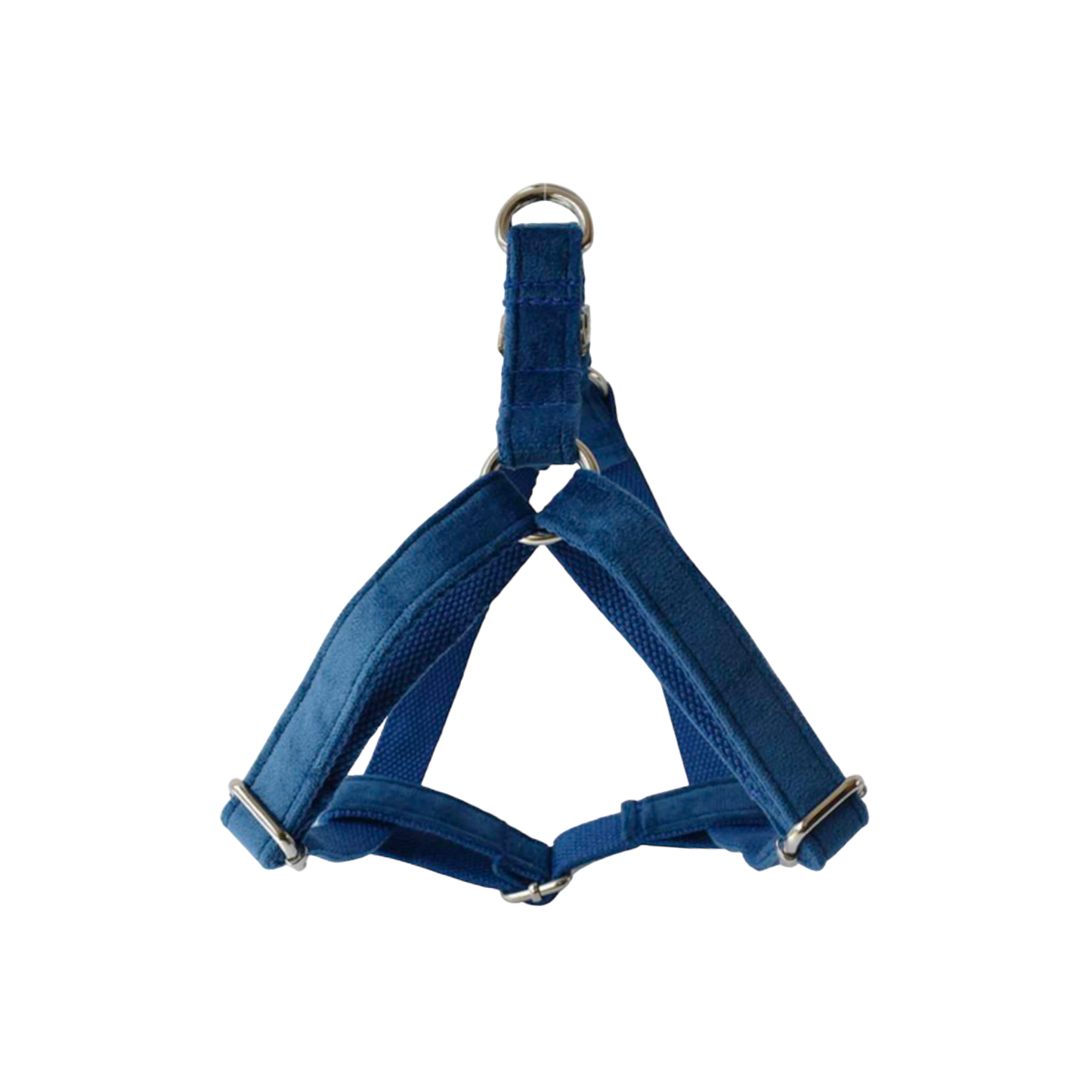harnais chien velours bleu boucle métal argenté twiggy