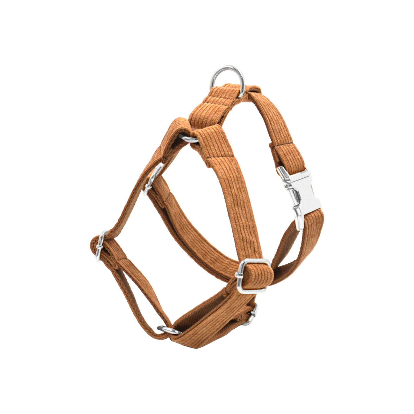 harnais chien velours côtelé boucle métal argenté marron caramel twiggy