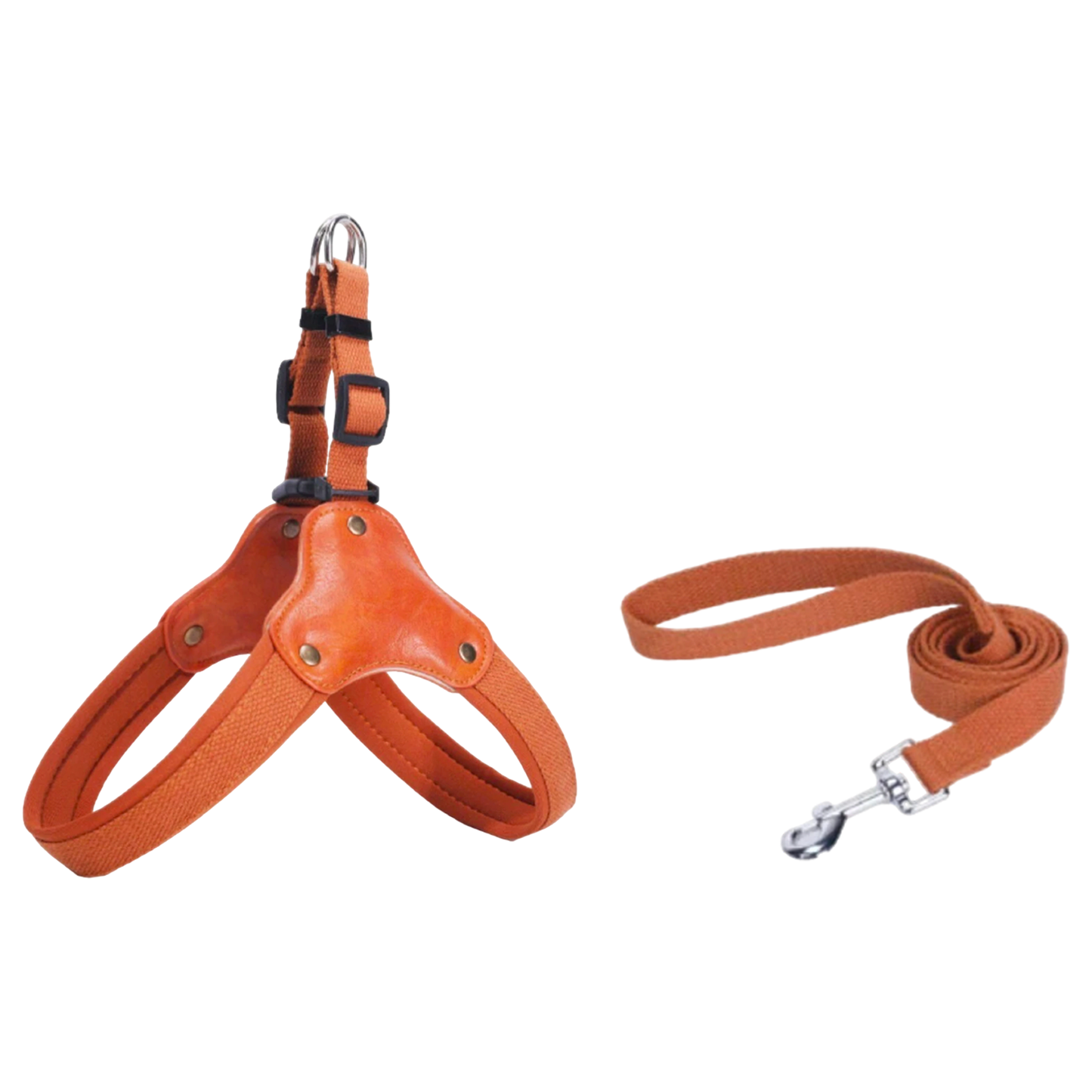 harnais laisse chien cuir marron boucle plastique twiggy