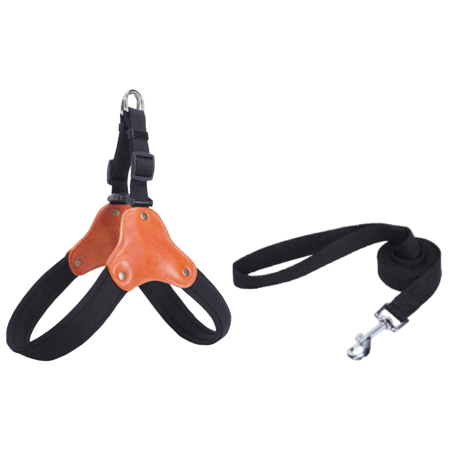 harnais laisse chien cuir marron noir boucle plastique twiggy