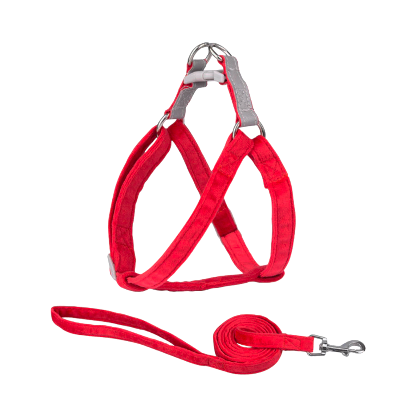 harnais laisse chien bandes réfléchissantes velours rouge feu twiggy