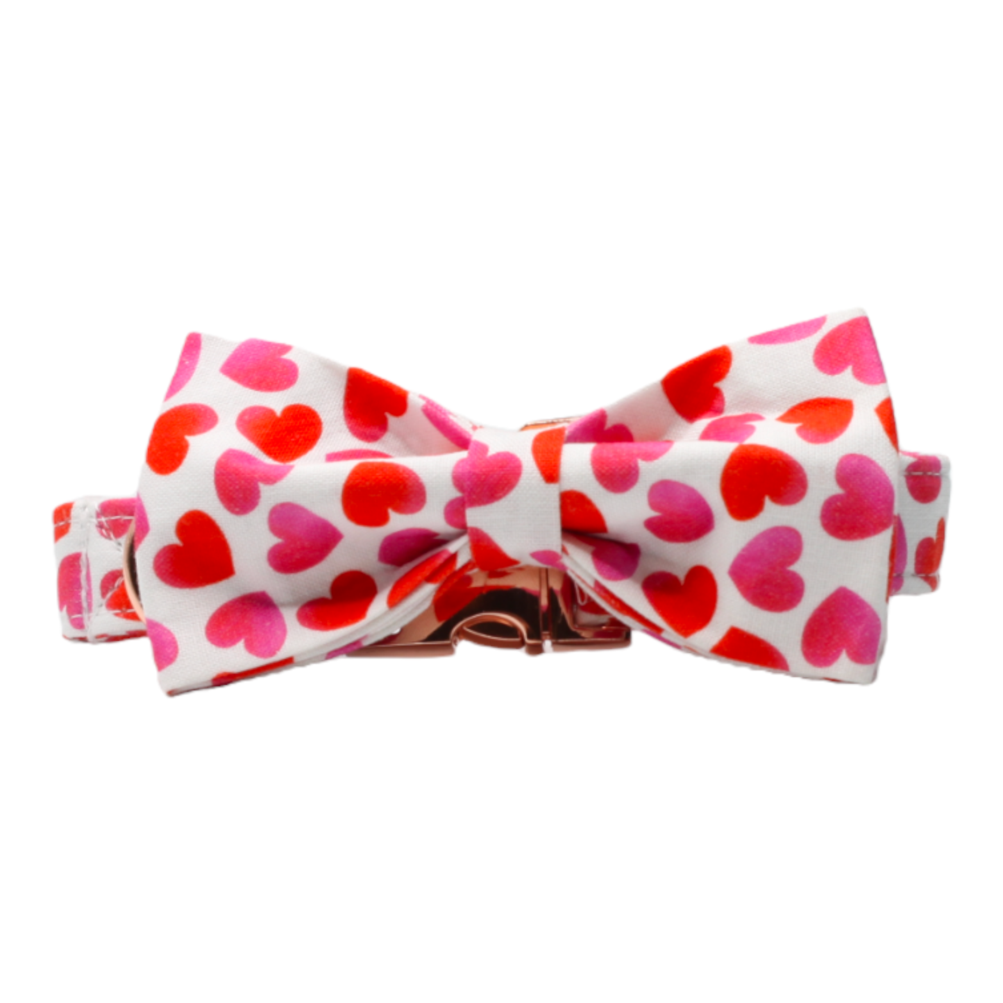 collier chien boucle métal noeud papillon coeurs rouge rose saint-valentin twiggy