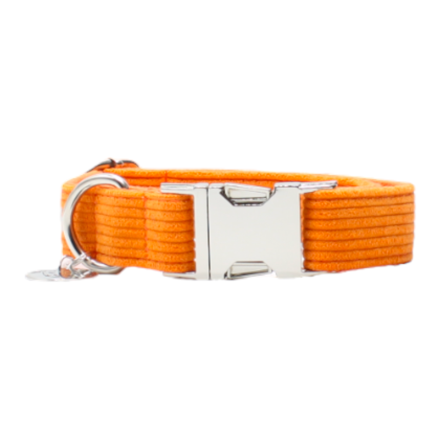 collier chien velours côtelé boucle métal argenté chic orange twiggy