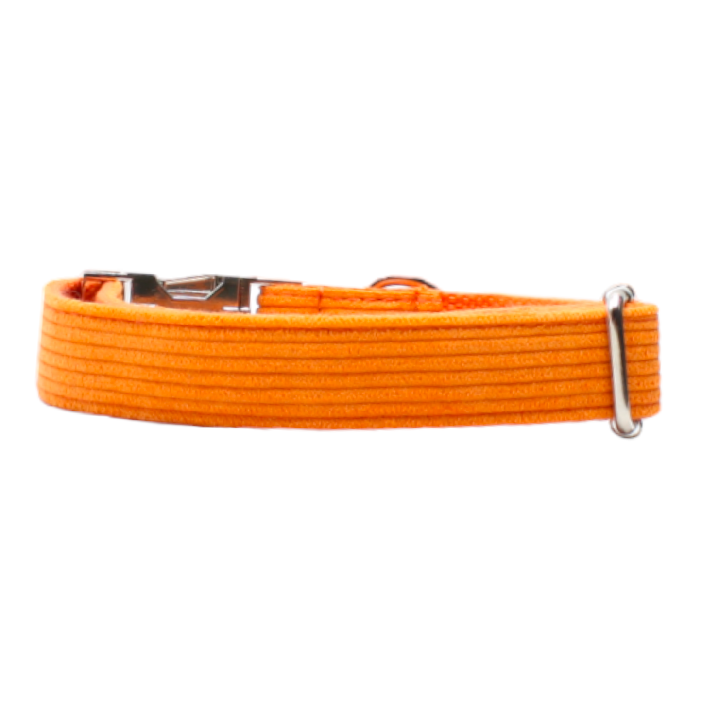 collier chien velours côtelé boucle métal argenté chic orange twiggy