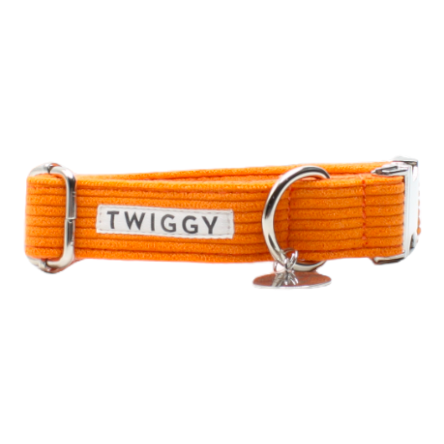 collier chien velours côtelé boucle métal argenté chic orange twiggy