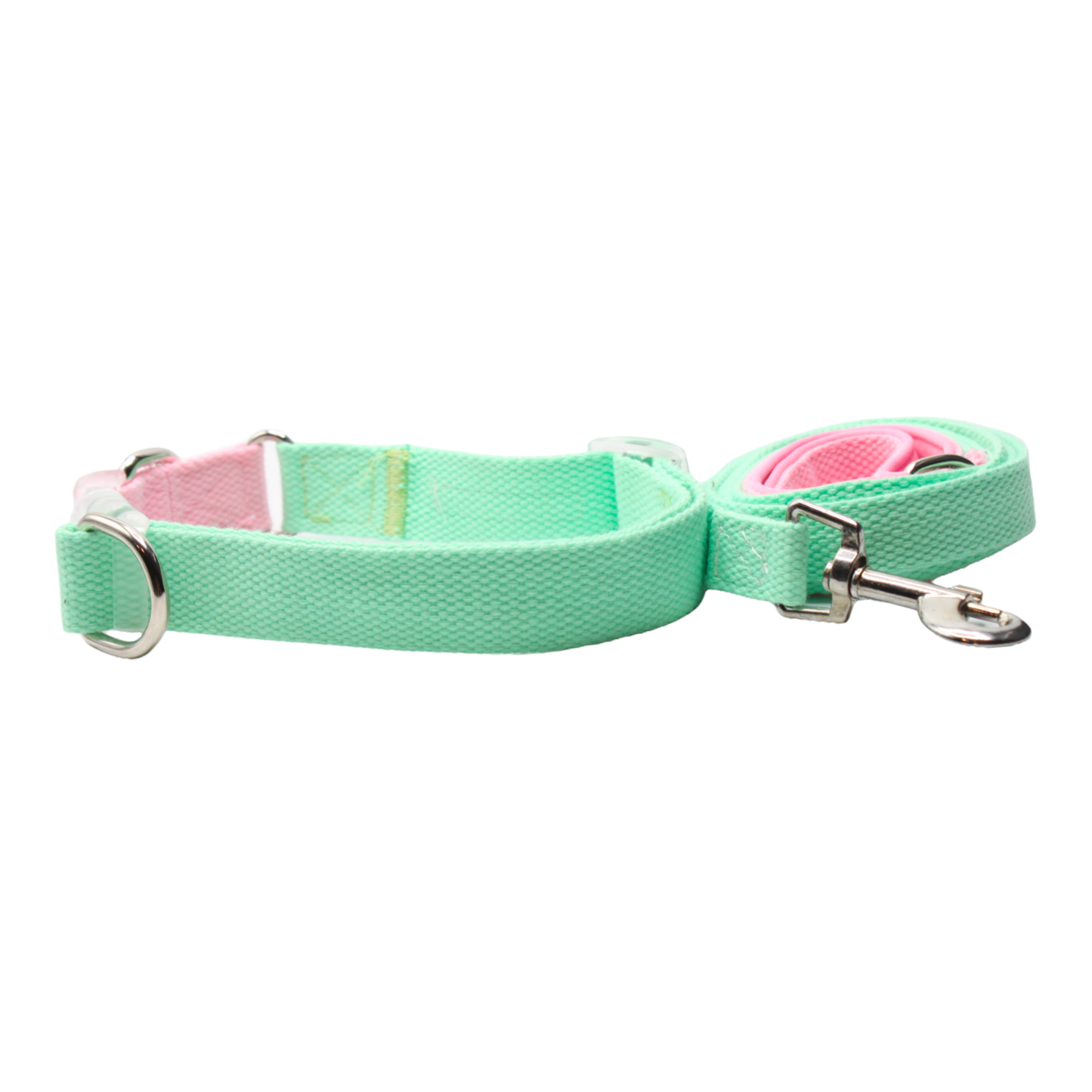 collier laisse chien boucle plastique transparente bicolore rose vert double anneaux twiggy