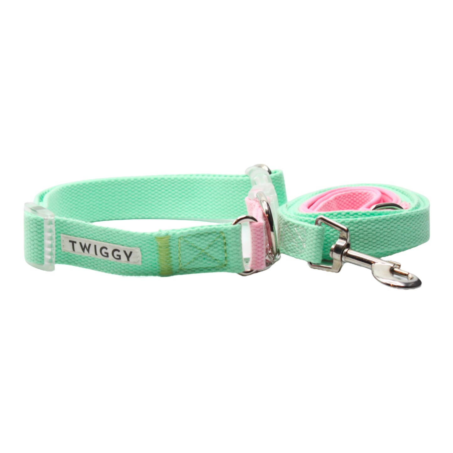 collier laisse chien boucle plastique transparente bicolore rose vert double anneaux twiggy