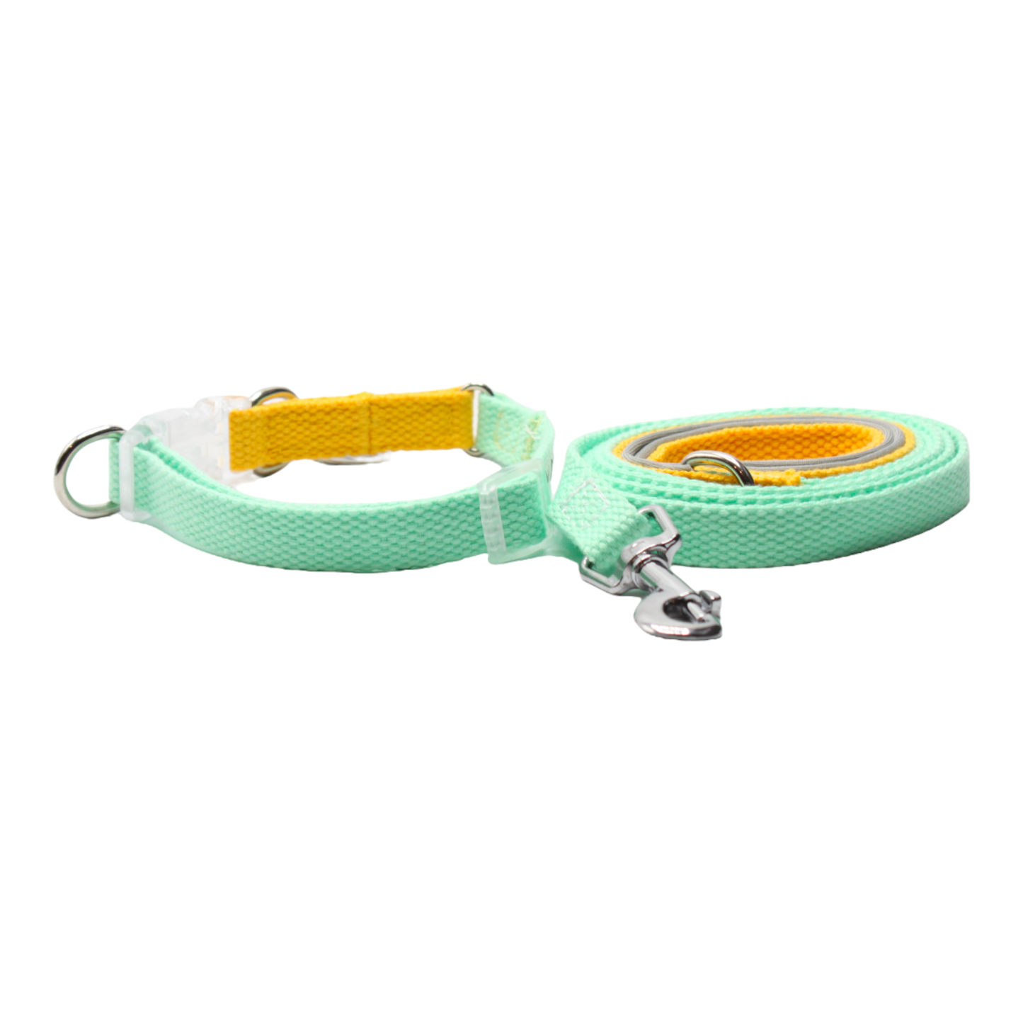 collier laisse chien boucle plastique transparente bicolore jaune vert double anneaux twiggy