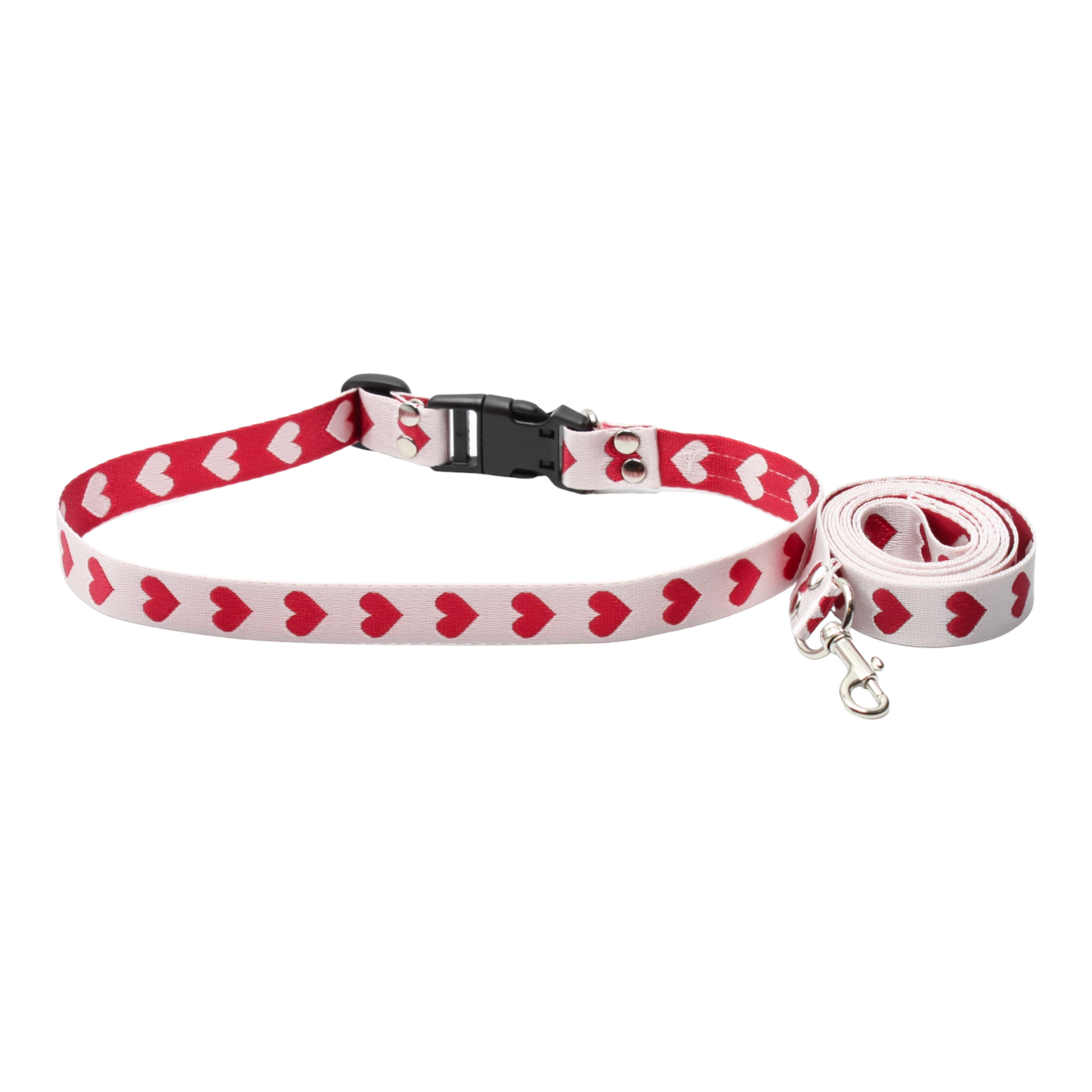 collier laisse chien boucle plastique coeurs saint-valentin twiggy