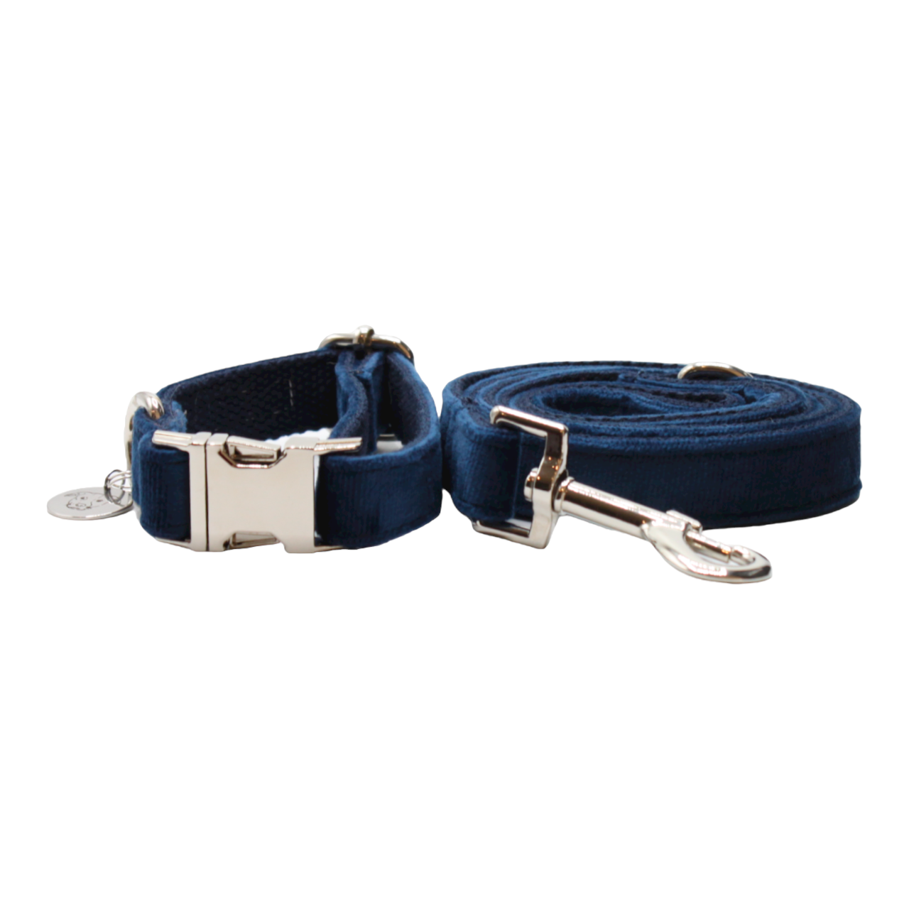 collier laisse chien velours boucle métal argenté chic bleu marine twiggy