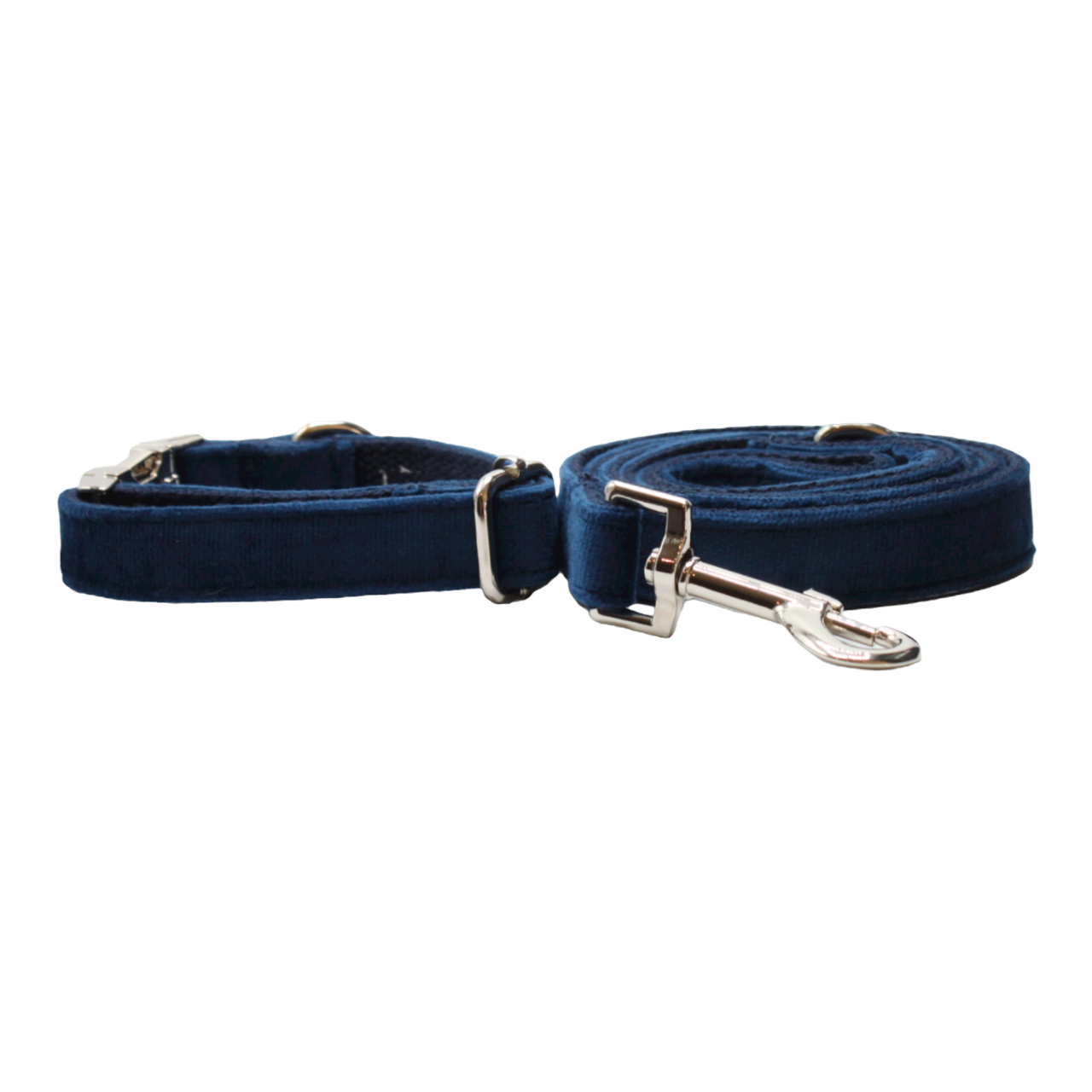 collier laisse chien velours boucle métal argenté chic bleu marine twiggy
