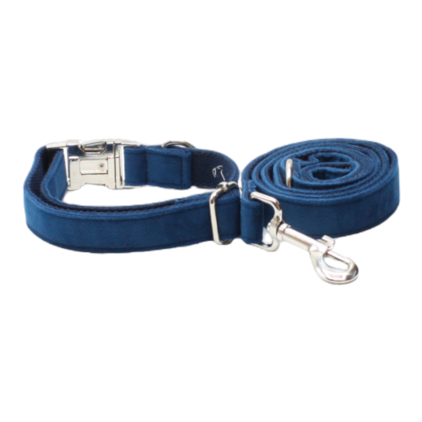 collier laisse chien velours boucle métal argenté chic bleu marine twiggy