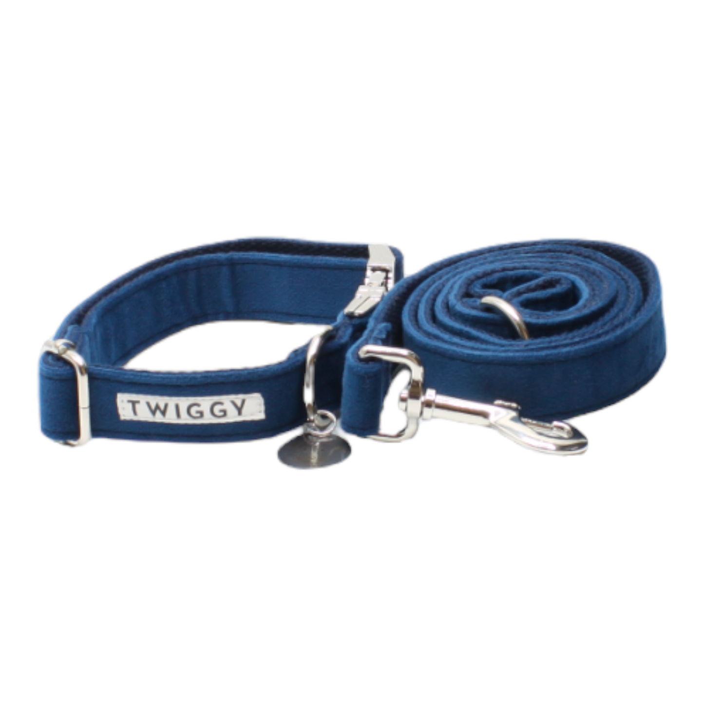 collier laisse chien velours boucle métal argenté chic bleu marine twiggy