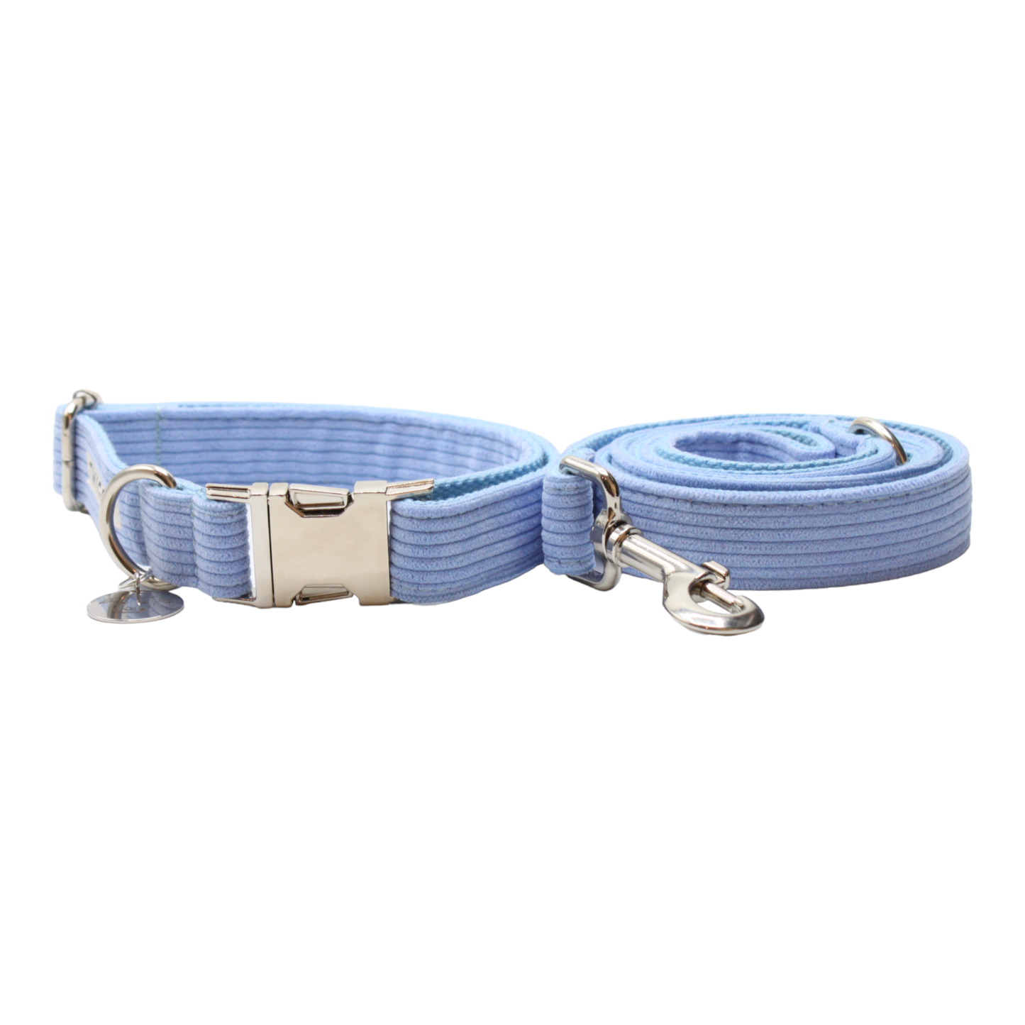 collier laisse chien velours côtelé boucle métal argenté bleu twiggy