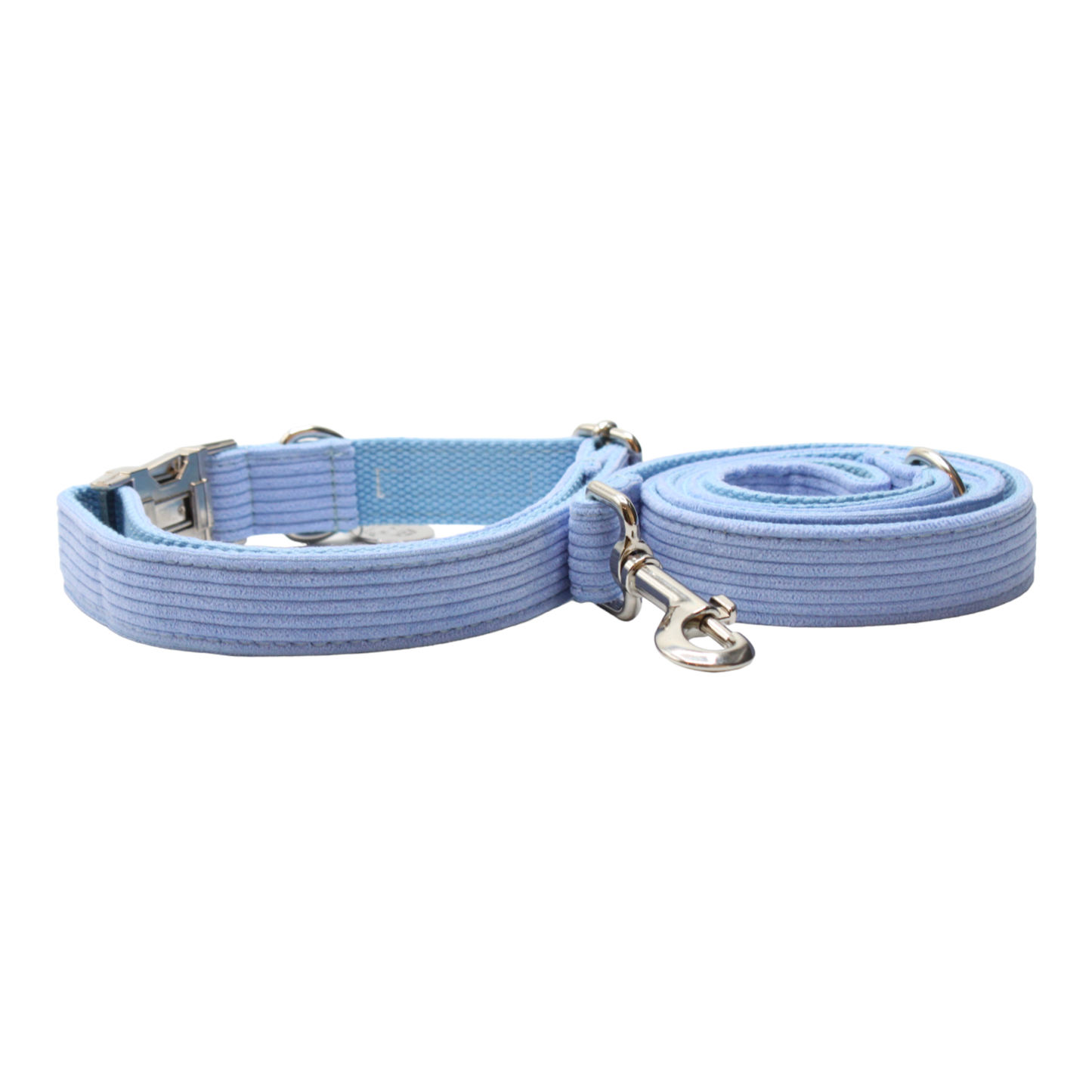 collier laisse chien velours côtelé boucle métal argenté bleu twiggy