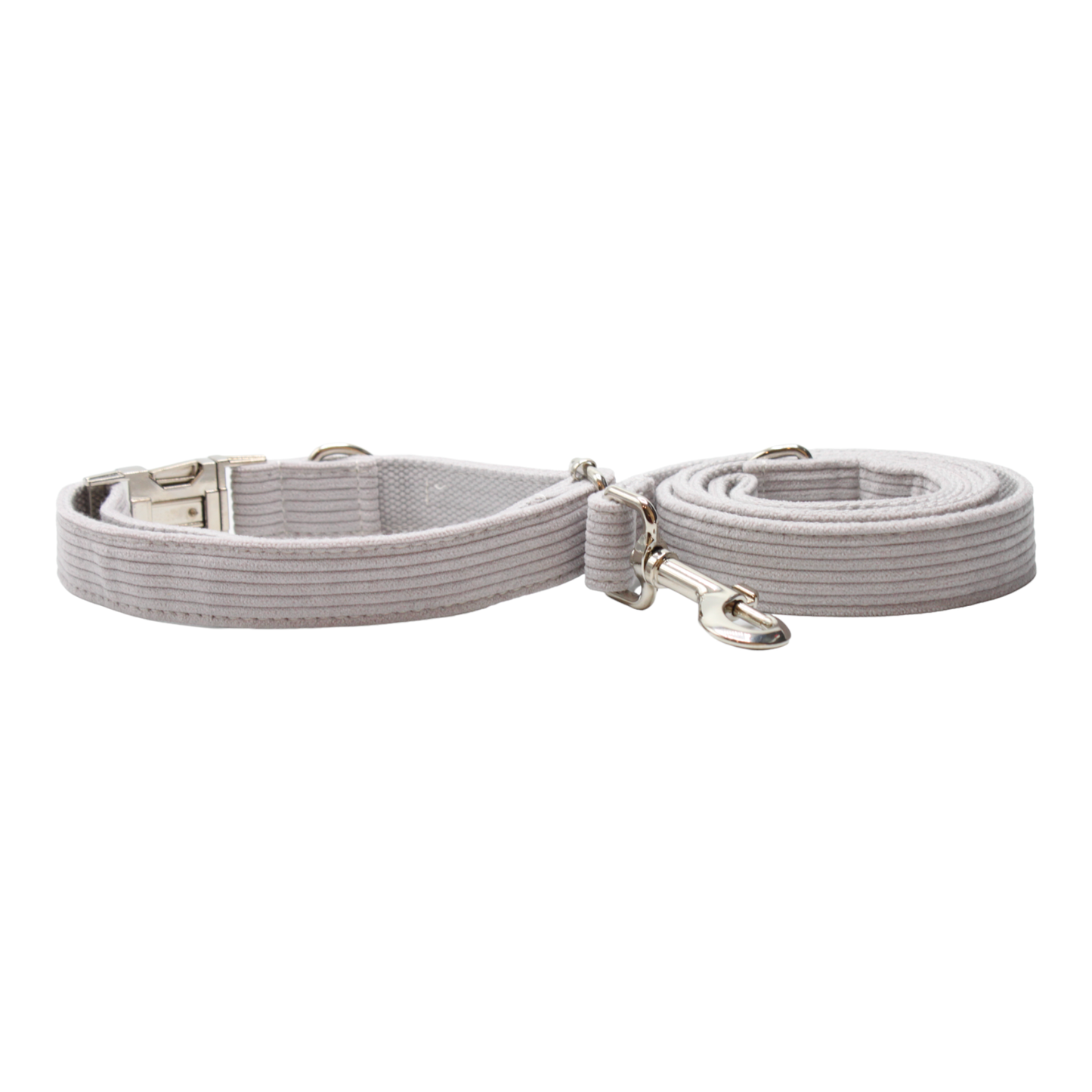 collier laisse chien velours côtelé boucle métal argenté gris twiggy