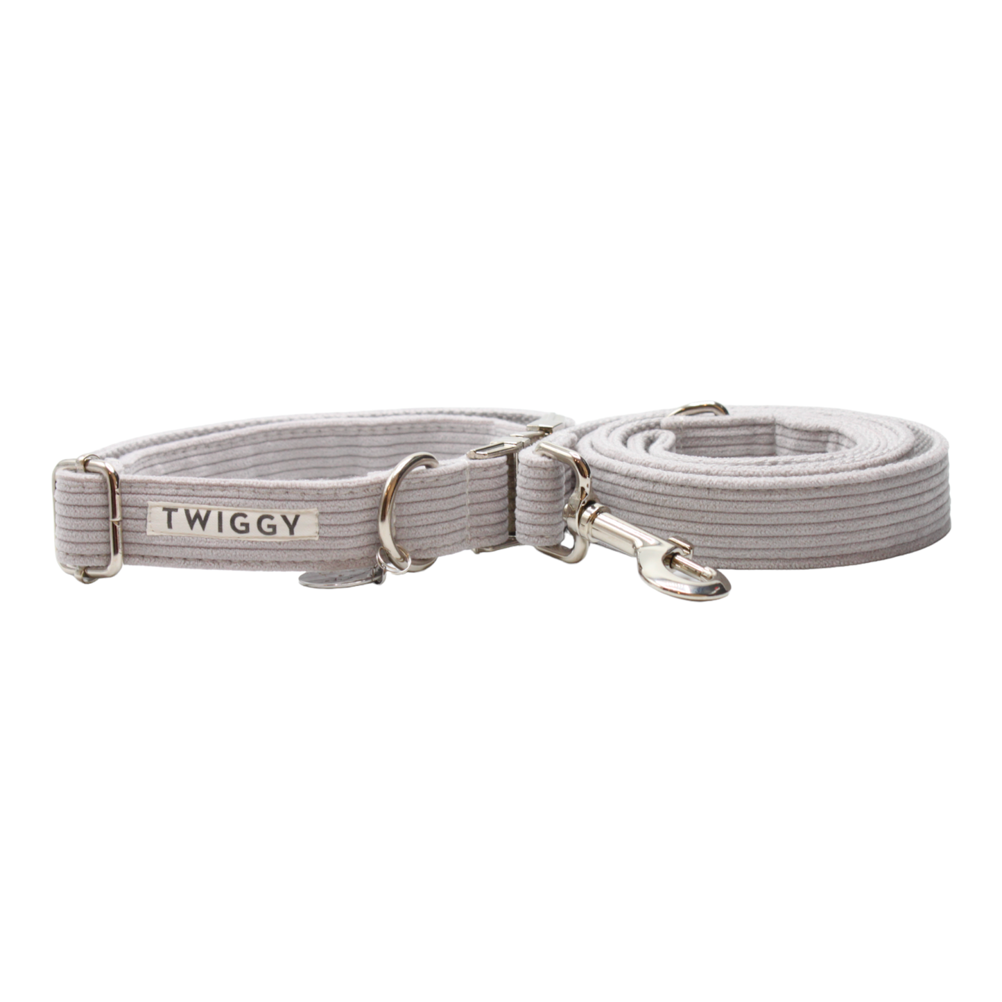 collier laisse chien velours côtelé boucle métal argenté gris twiggy
