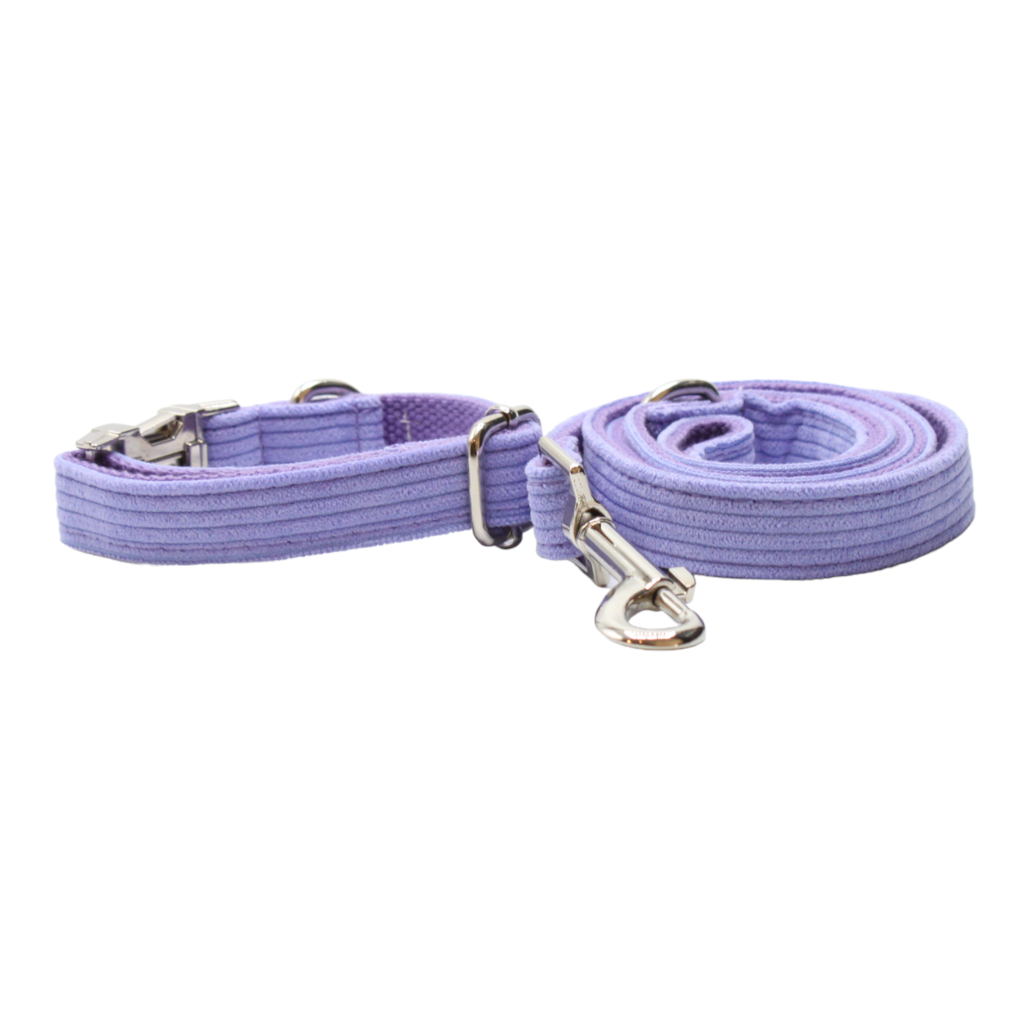 collier laisse chien velours côtelé boucle métal argenté violet mauve twiggy