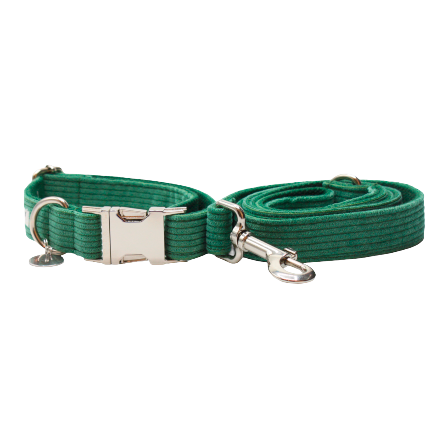 collier laisse chien velours côtelé boucle métal argenté vert twiggy