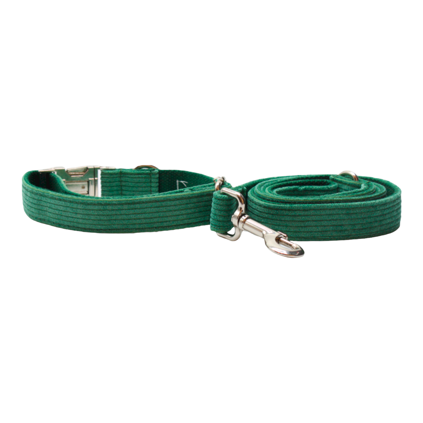collier laisse chien velours côtelé boucle métal argenté vert twiggy