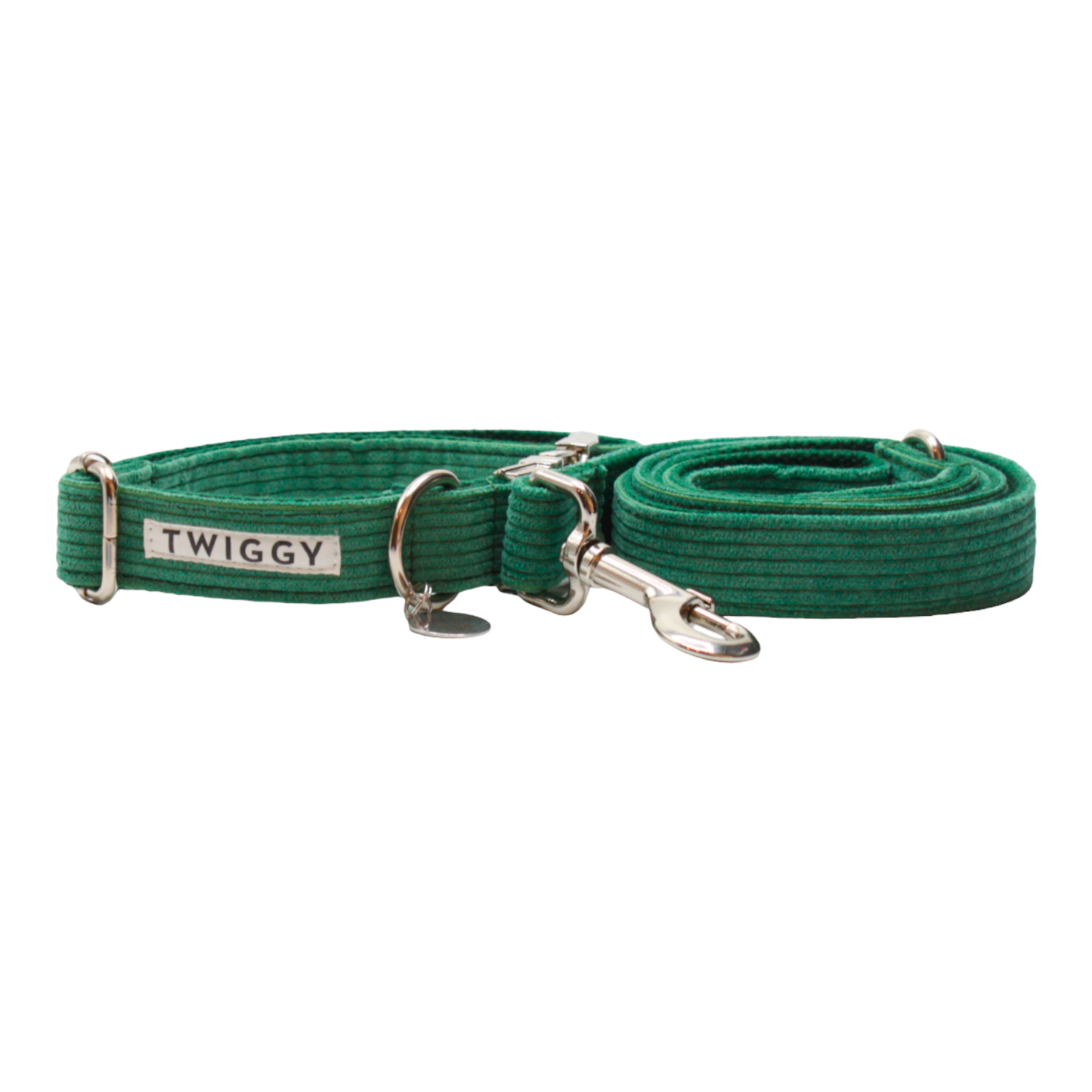 collier laisse chien velours côtelé boucle métal argenté vert twiggy