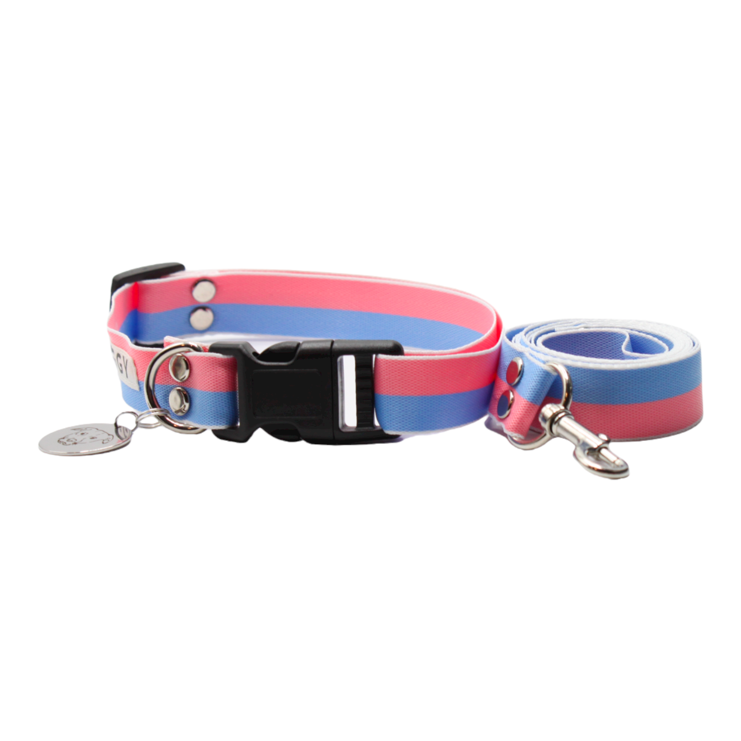 collier laisse chien boucle plastique bicolore rose bleu twiggy
