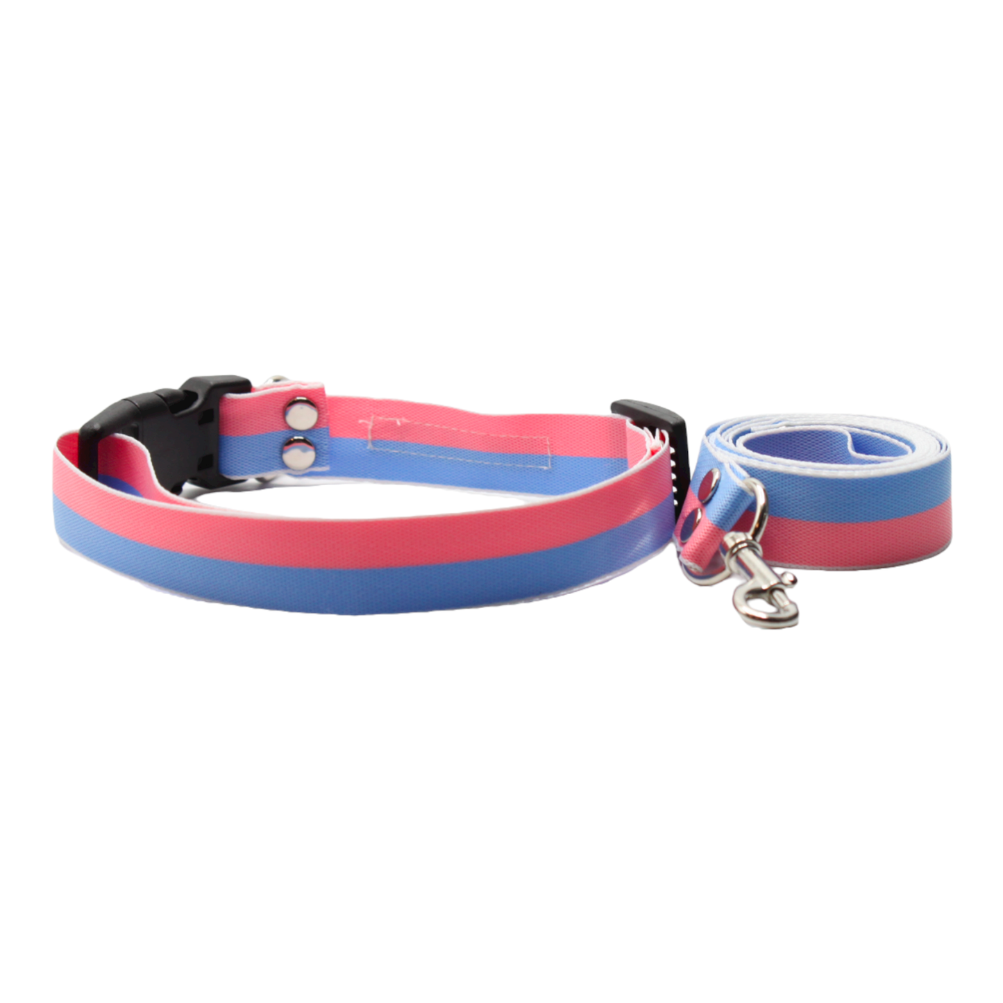 collier laisse chien boucle plastique bicolore rose bleu twiggy