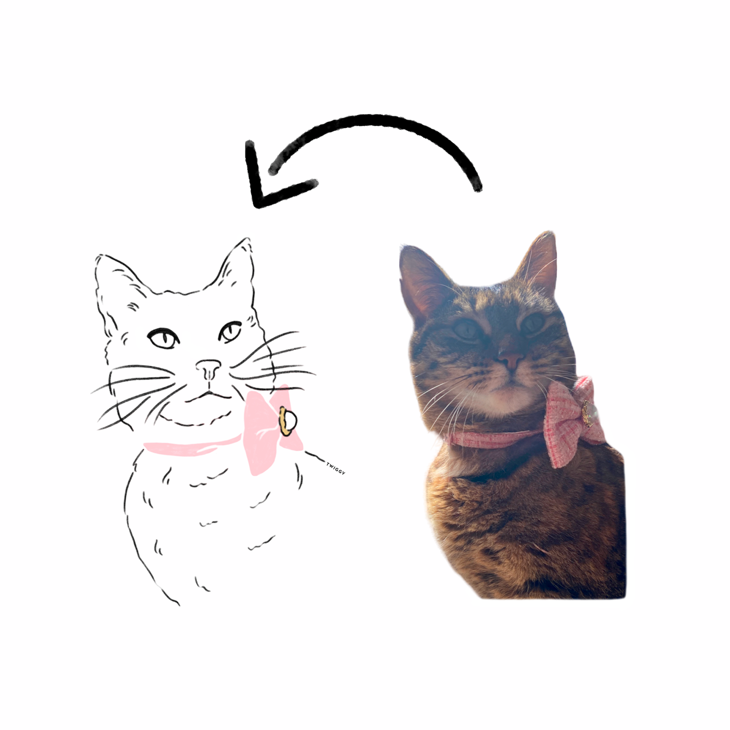 Dessin photo illustration portrait art chat digital numérique twiggy