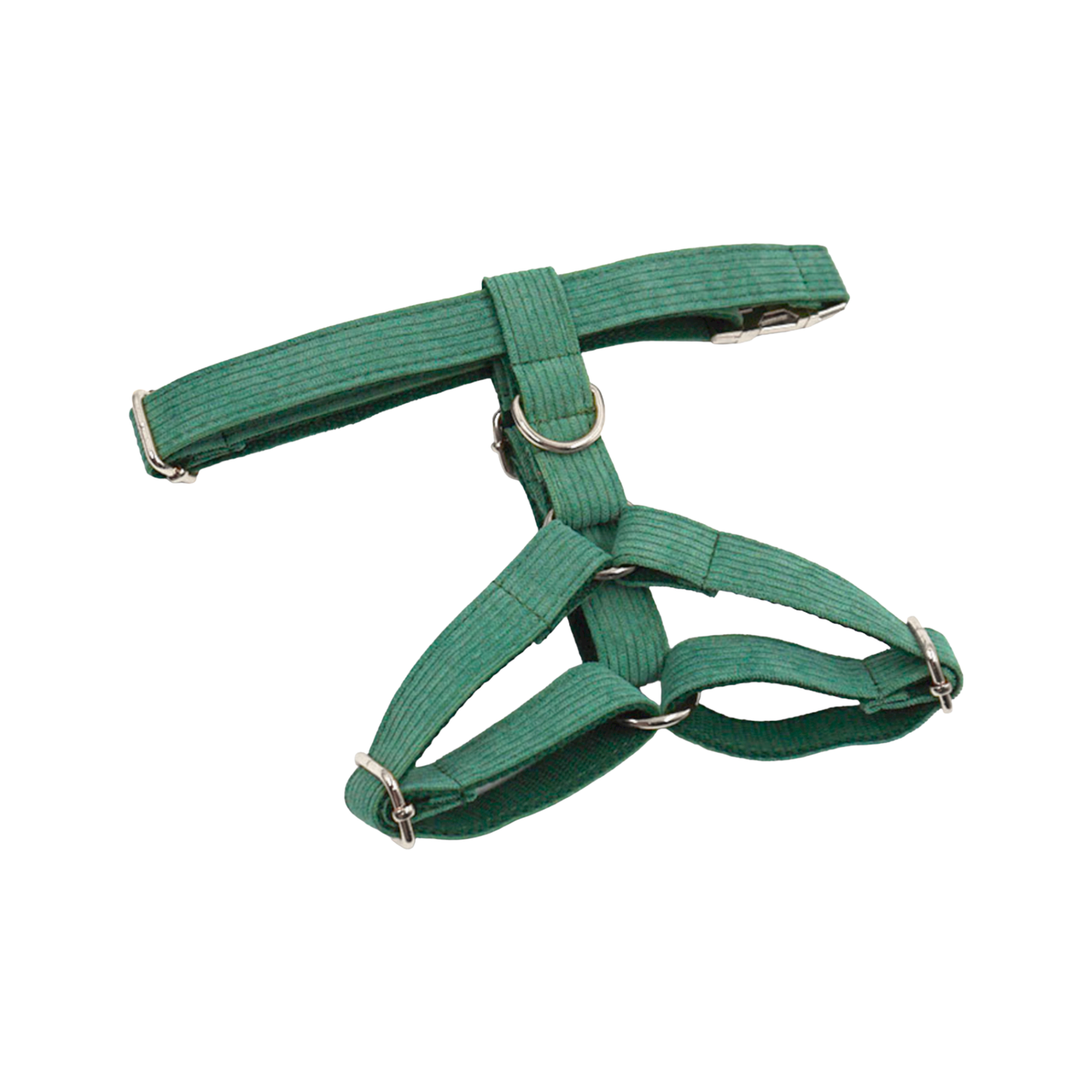 harnais chien velours côtelé chic boucle métal argenté vert twiggy