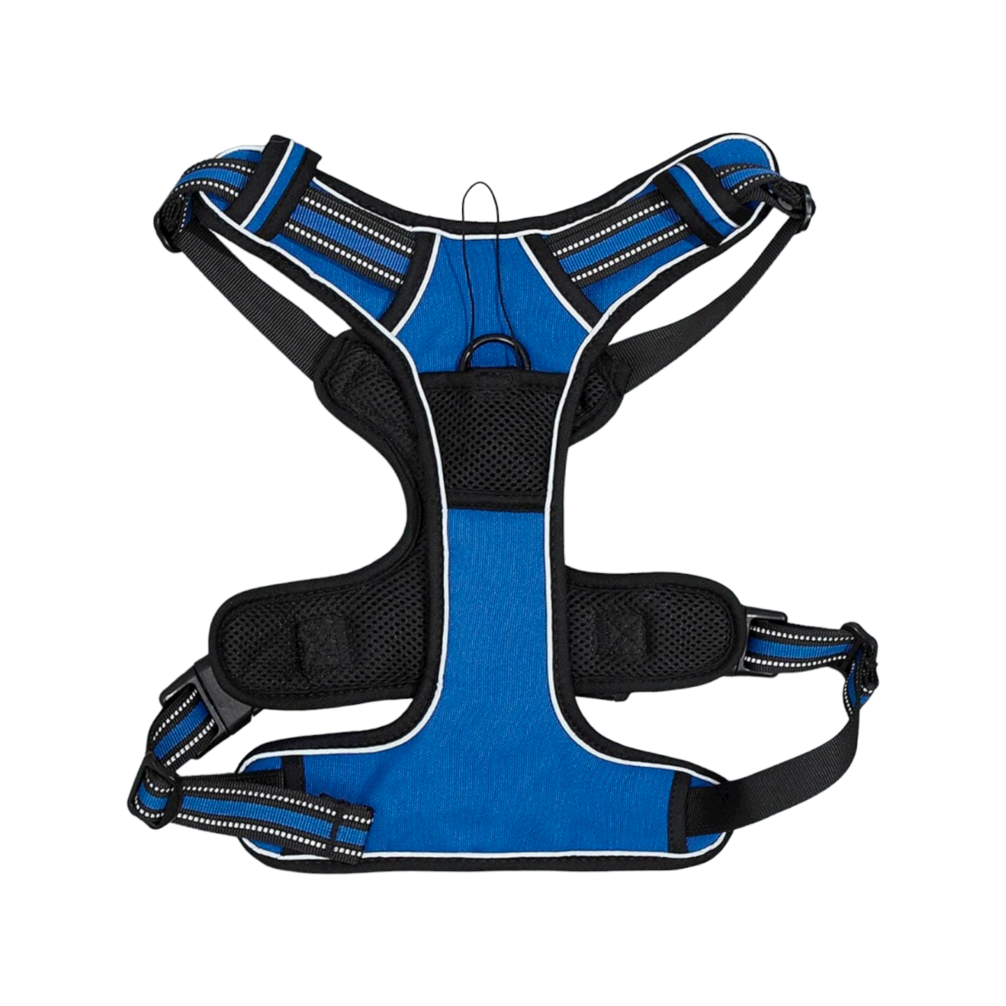 harnais anti traction chien respirant sport bleu noir boucle plastique twiggy