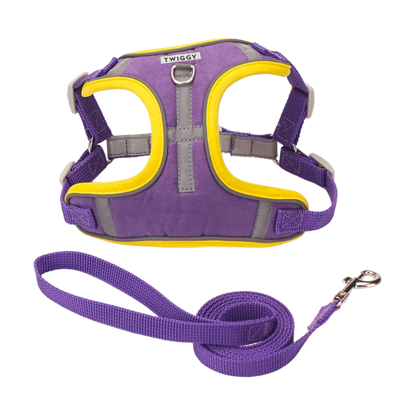 harnais laisse chien bandes réfléchissantes violet jaune twiggy